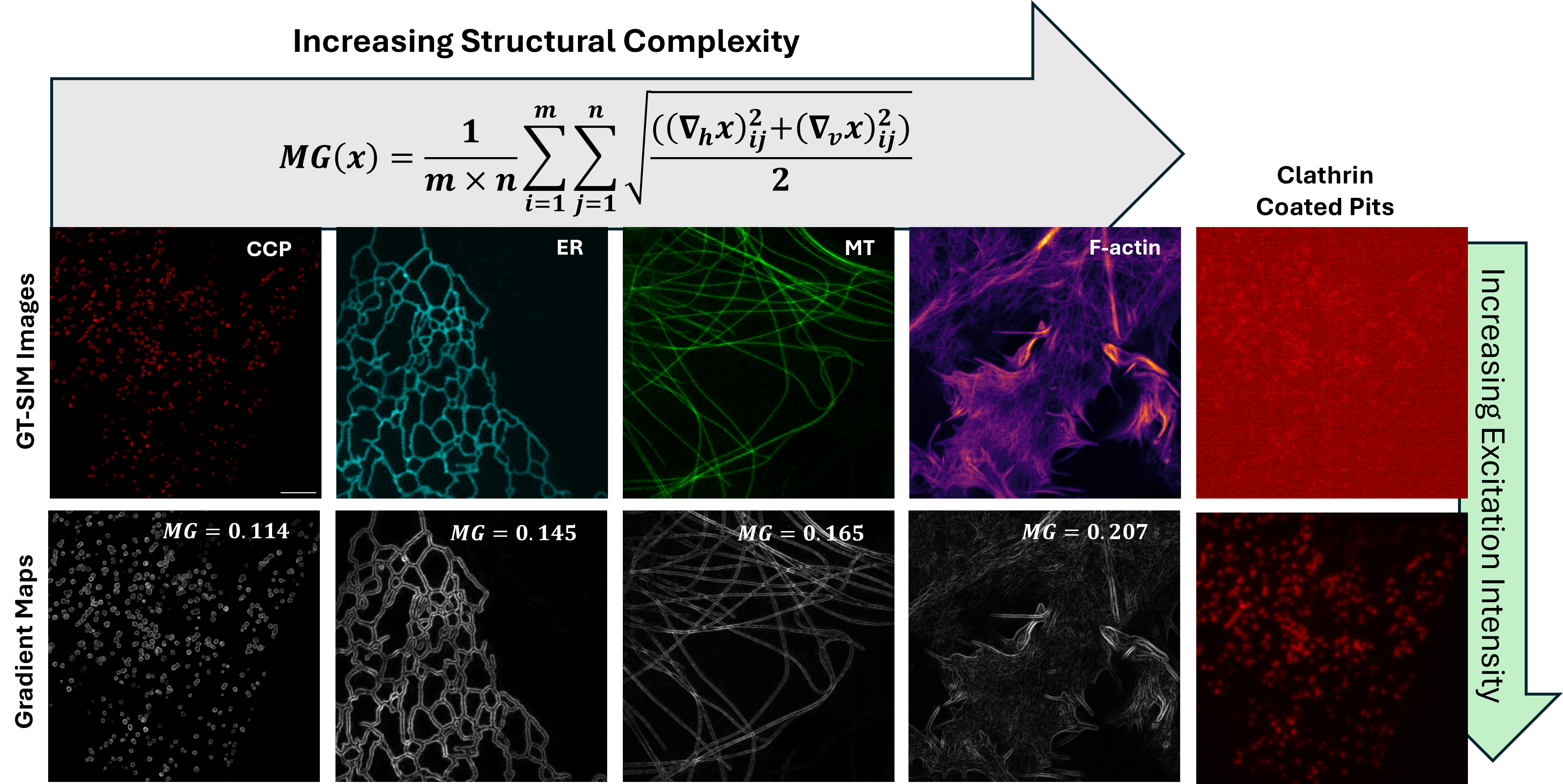 Enhancing Fluorescence Microscopy Resolution Beyond the Diffraction ...